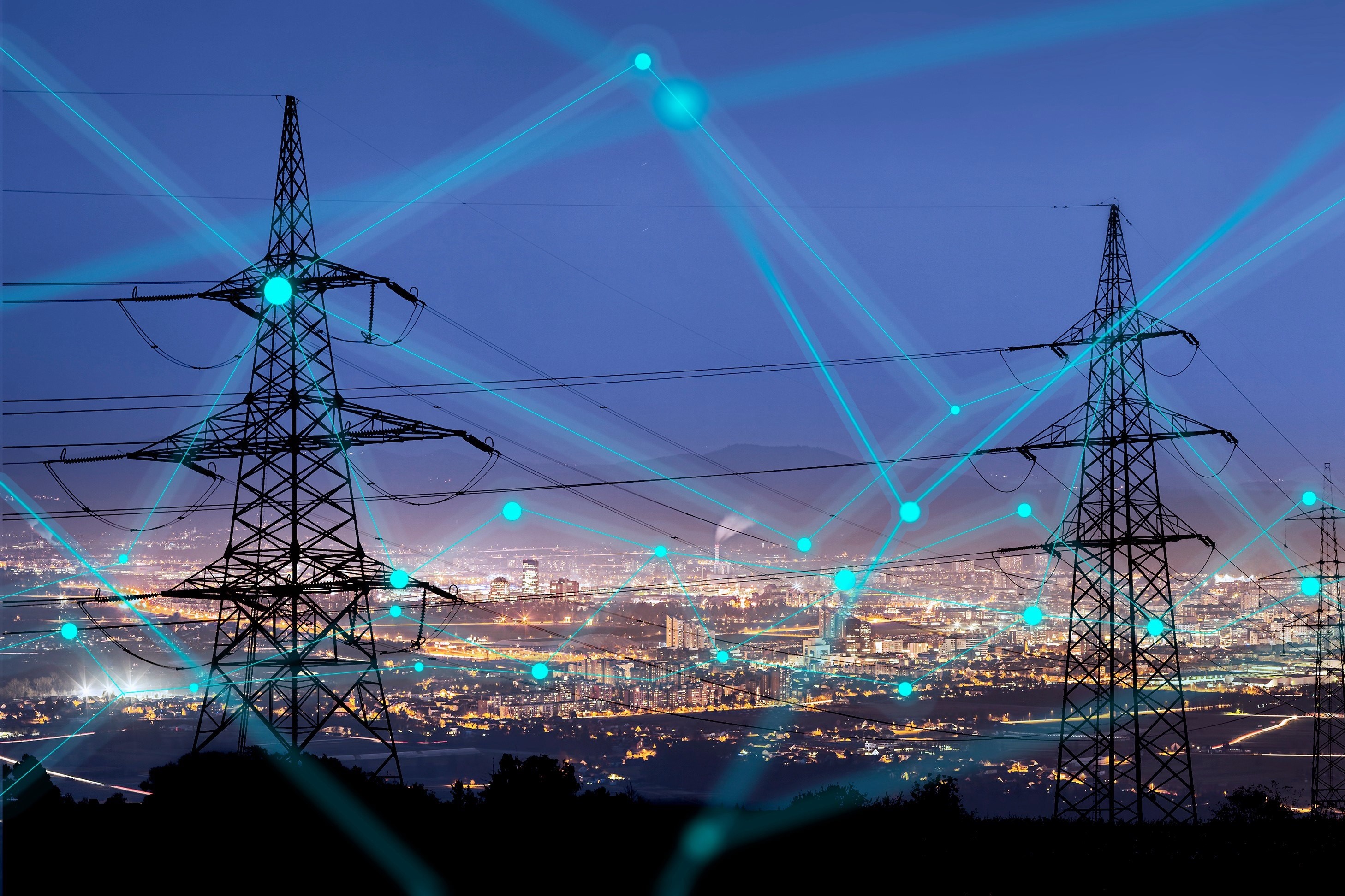 Smart electricity grids