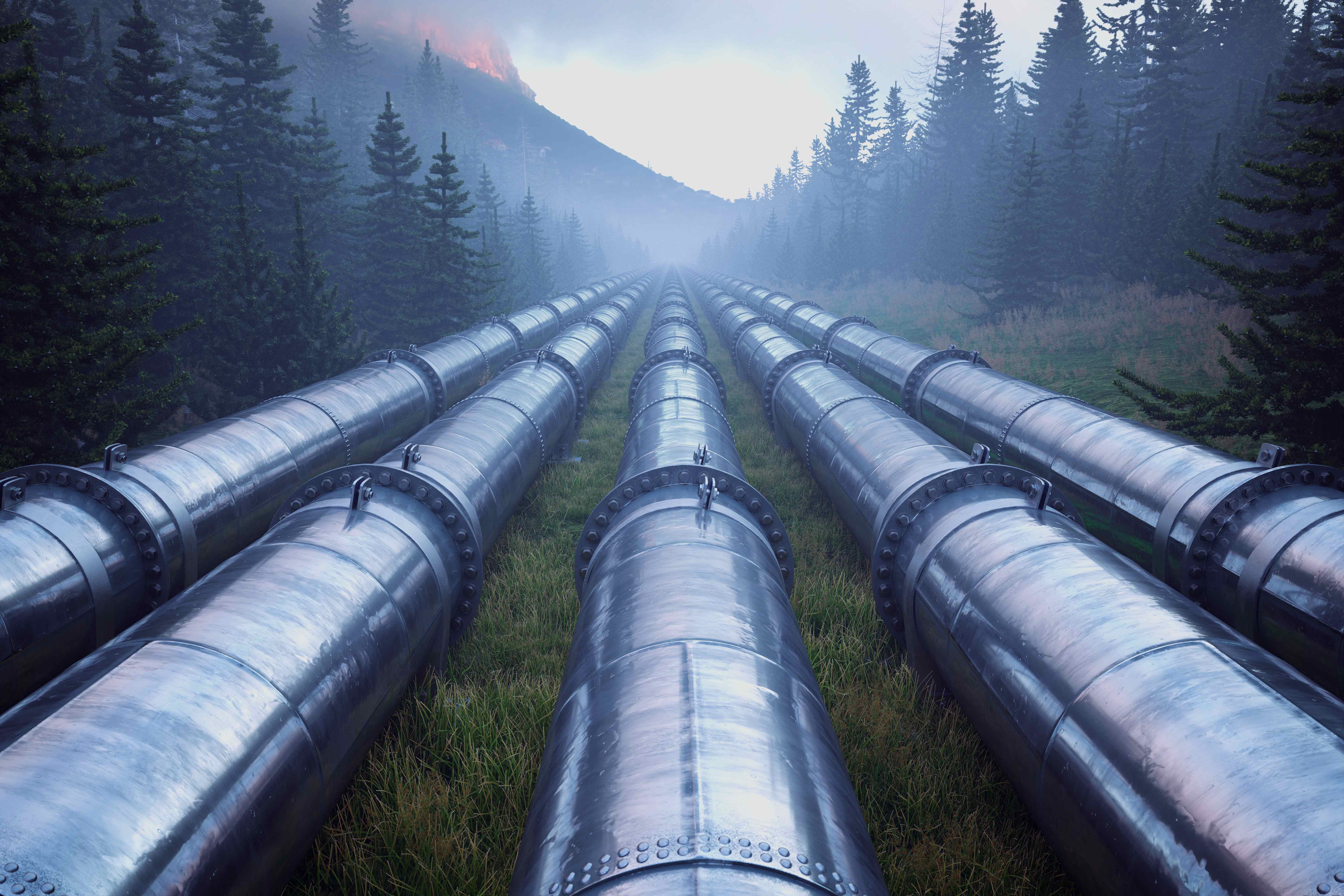 Analysis of the consultation document on the gas transmission tariff structure for Finland - 2025