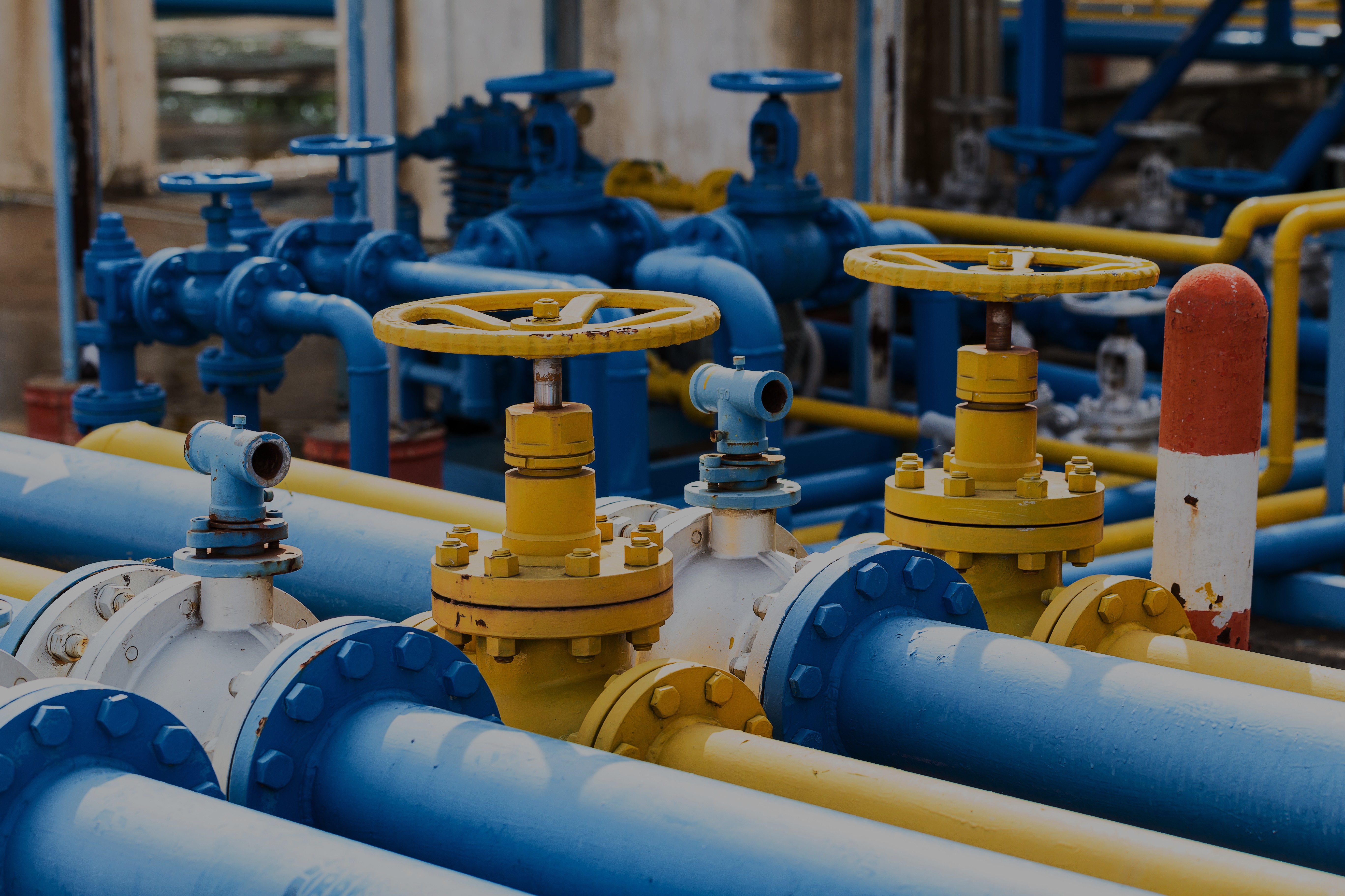 ACER report on Russian gas import contracts and diversification - 2026