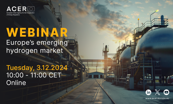 ACER webinar on Europe’s emerging hydrogen market