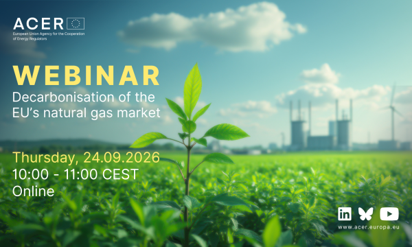 ACER webinar on gas decarbonisation