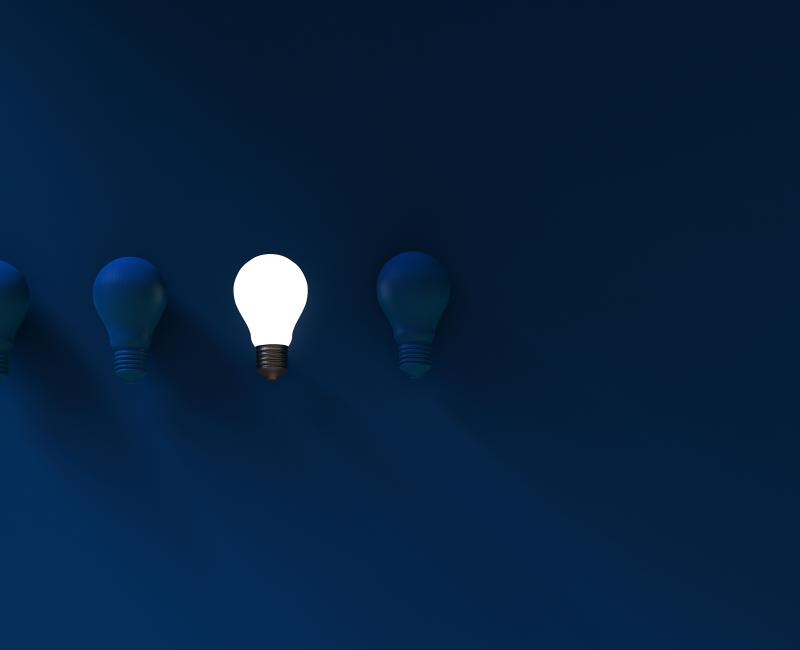 bulb in the dark