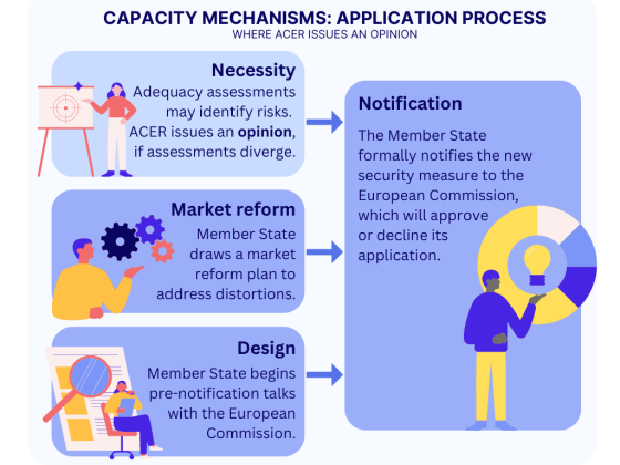 Capacity Mechanisms Explained