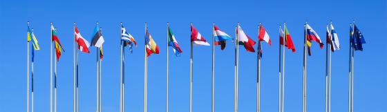 EU flags