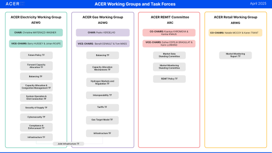 ACER working groups & task forces