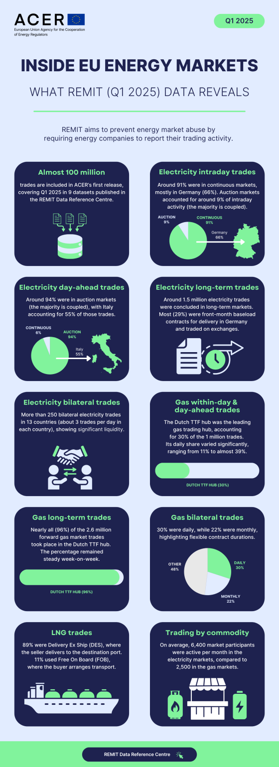 REMIT data infographics