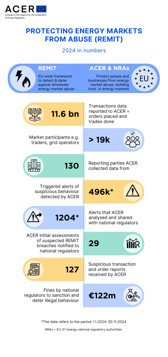 REMIT infographic 2024