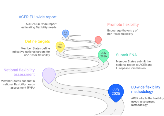 FNA process