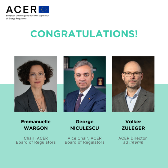 BoR new Chair and Vice-Chair & new ACER Director ad interim