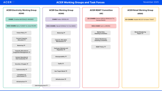 ACER working groups & task forces