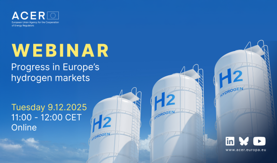 Hydrogen webinar banner