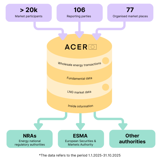 REMIT data collection & sharing
