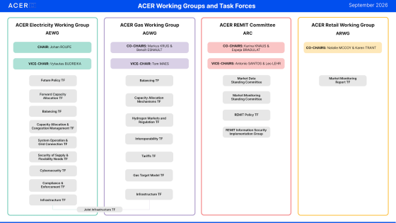 ACER working groups & task forces
