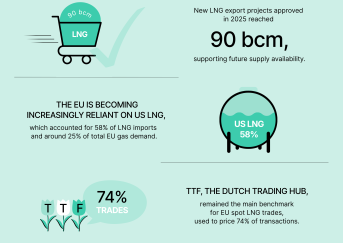LNG monitoring report - infographic